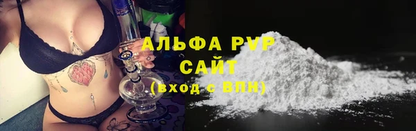 ECSTASY Богородск