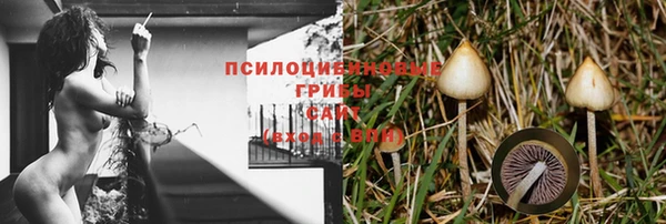 ECSTASY Богородск