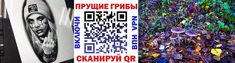 Псилоцибиновые грибы мухоморы  darknet состав  Барыш 